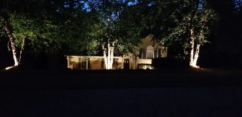 Slide of 1 Best Electric