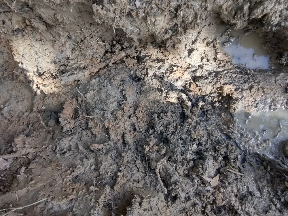 Slide of 1092 Elite Handy Services