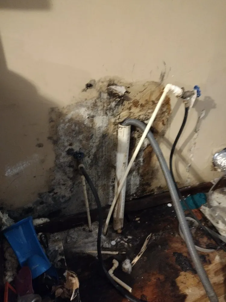 Slide of 1092 Elite Handy Services