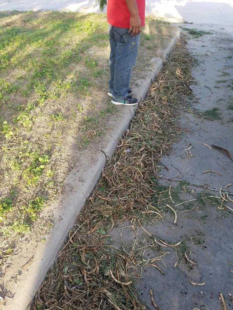 Slide of 123 RGV Services