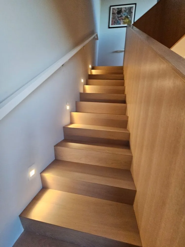 Slide of 1P Electric