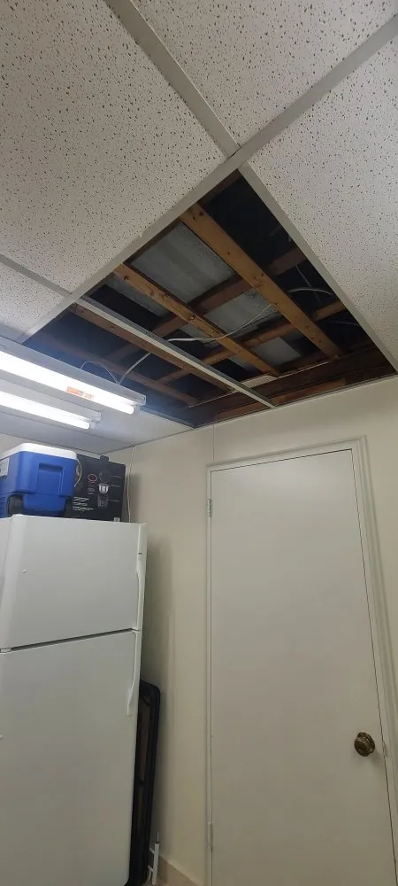 Expert lighting installation service in ,  - 1st Priority Handyman