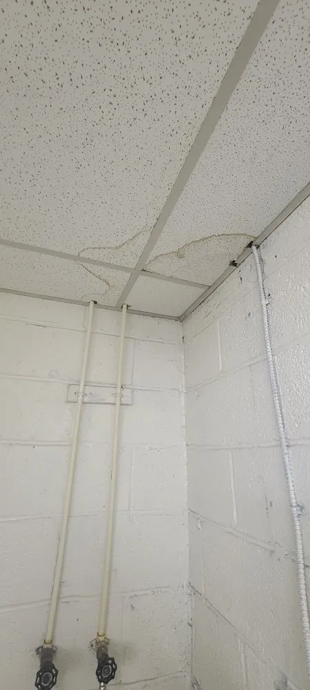 Affordable panel upgrade service in ,  - 1st Priority Handyman