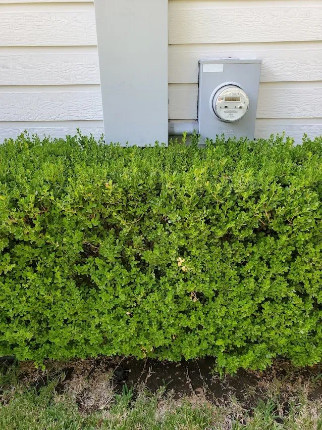 Slide of 2 Fools & Some Tools Electric