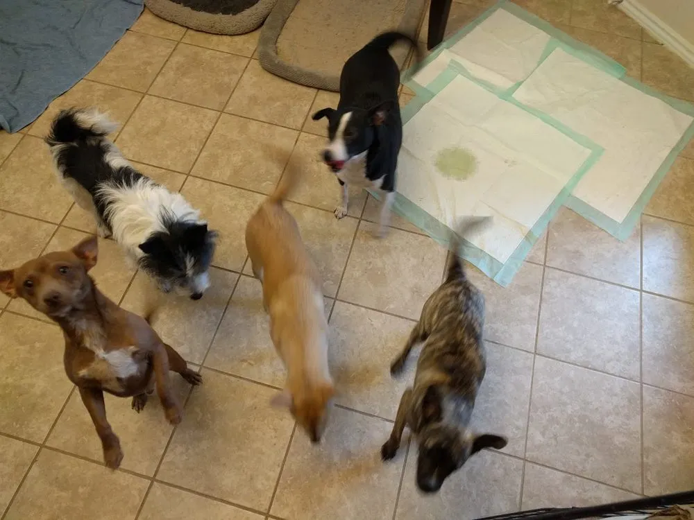 Slide of 2 Fools & Some Tools Electric