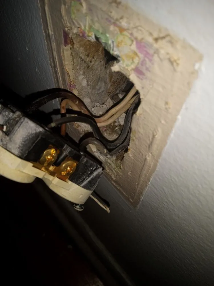 Slide of 2 Wire Doc's