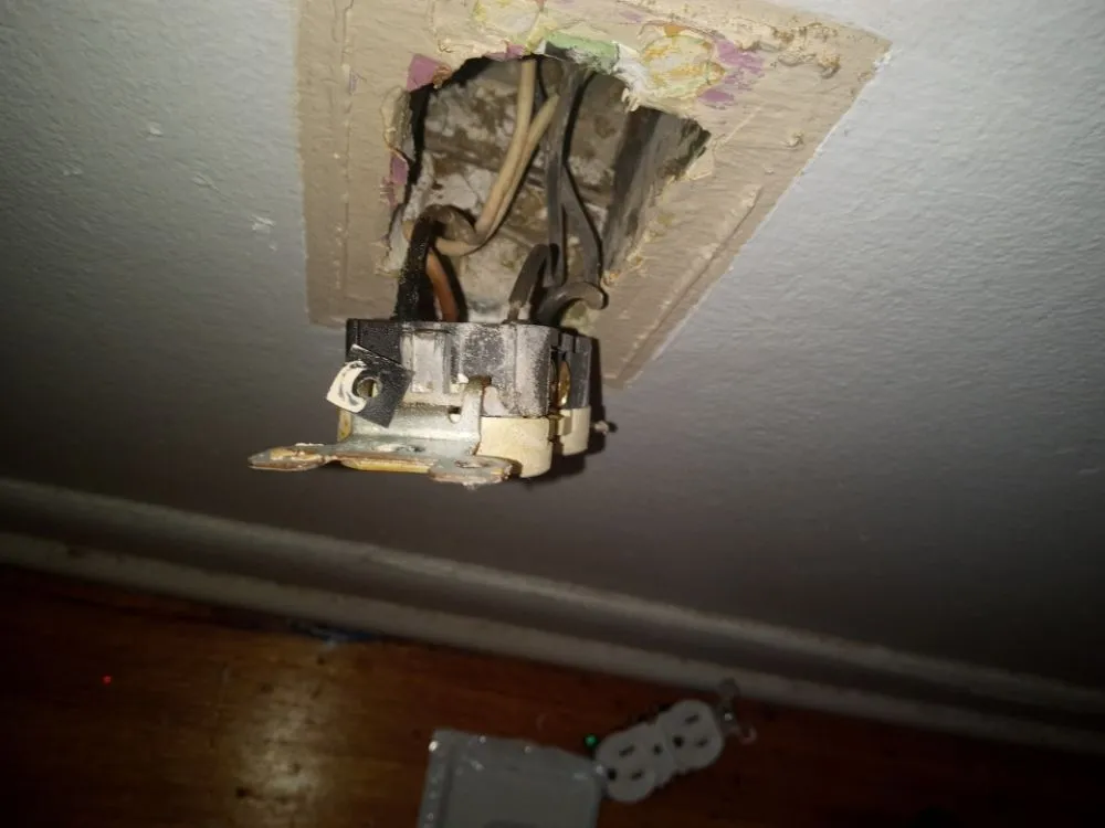 Slide of 2 Wire Doc's