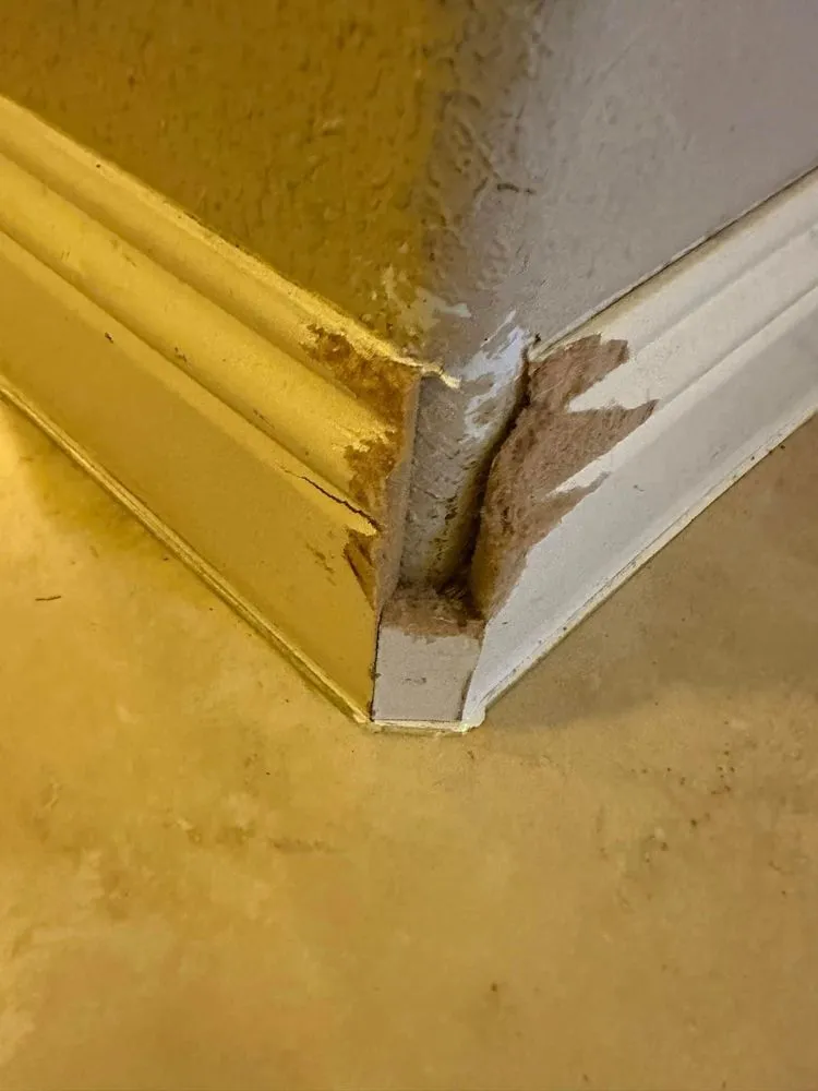 Slide of 24 Hour Handyman Services