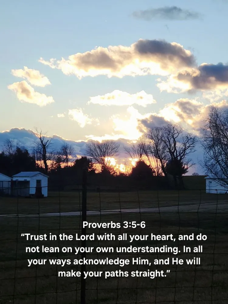 Slide of 3 Brothers Local Service