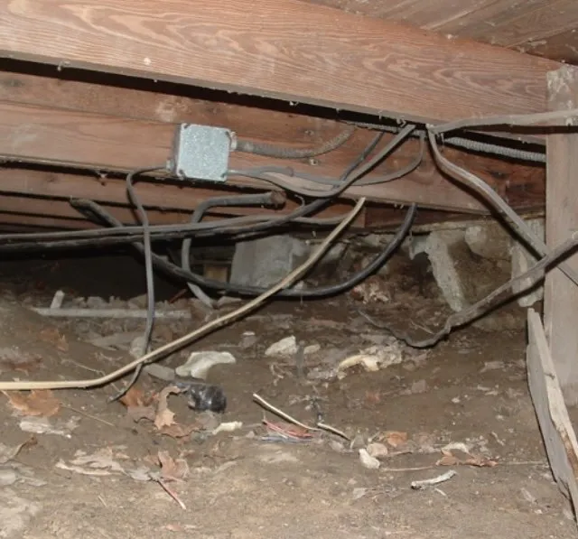 Slide of 3 Gen Electric