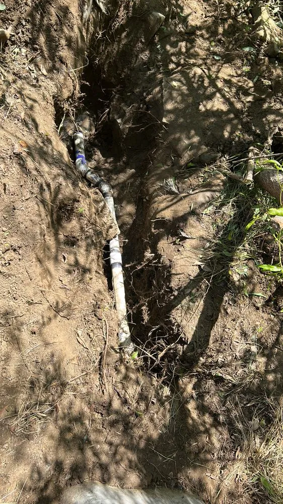 Slide of 357electrical