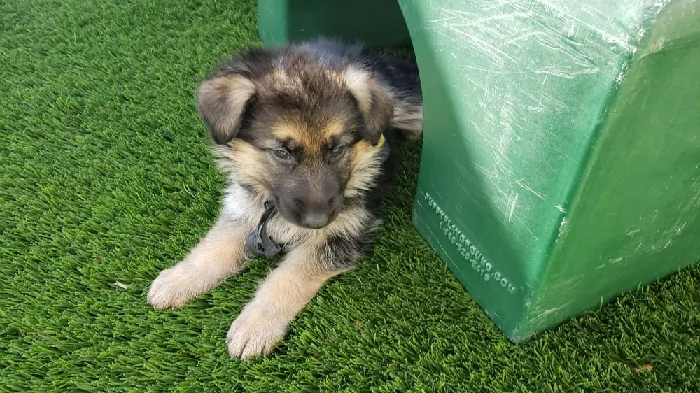 Slide of 360 Electric