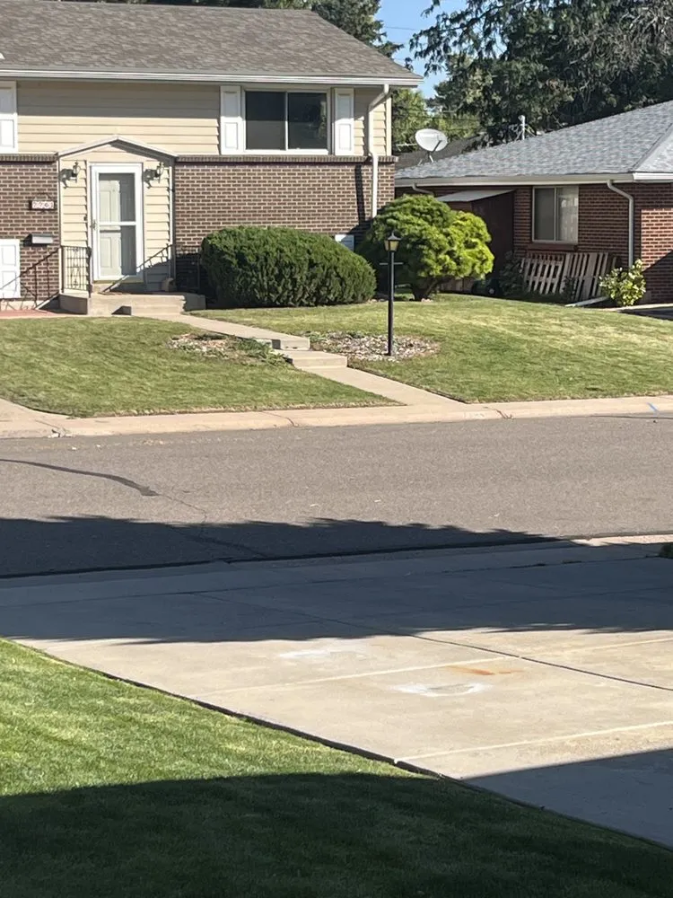 Slide of 3D Ecoscape & Design