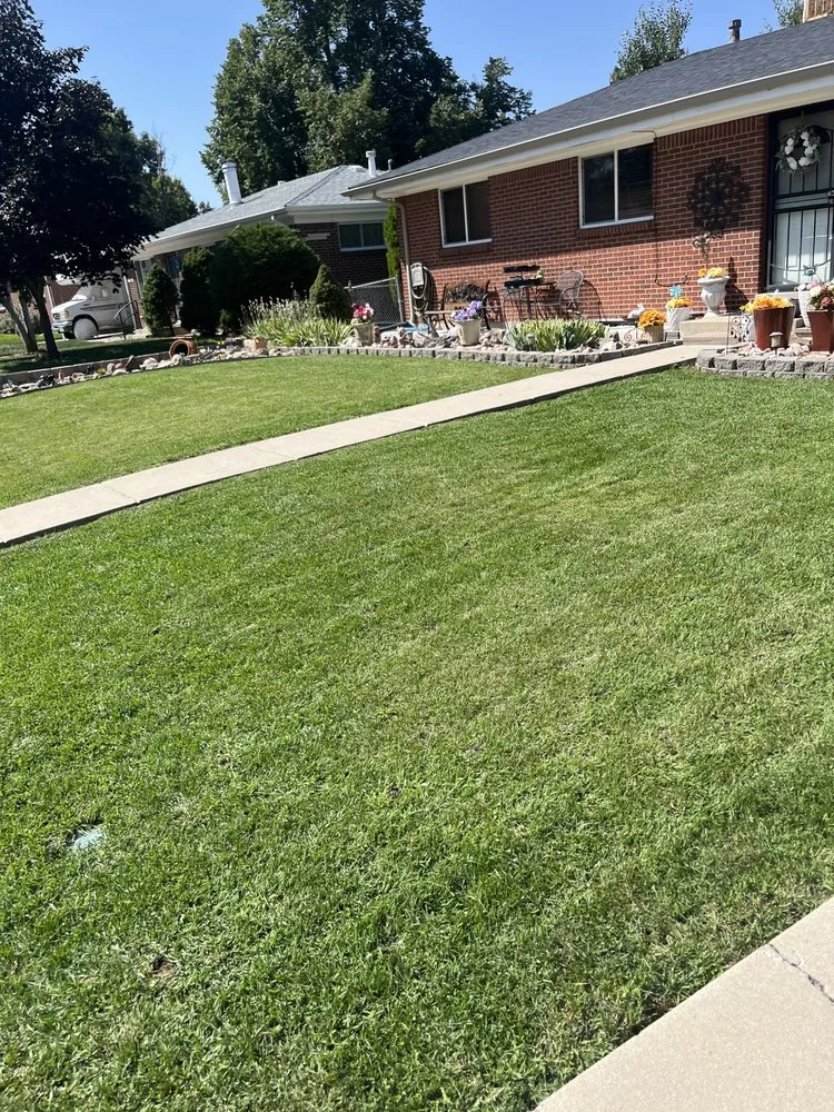 Slide of 3D Ecoscape & Design