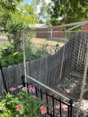 3D Ecoscape & Design Logo