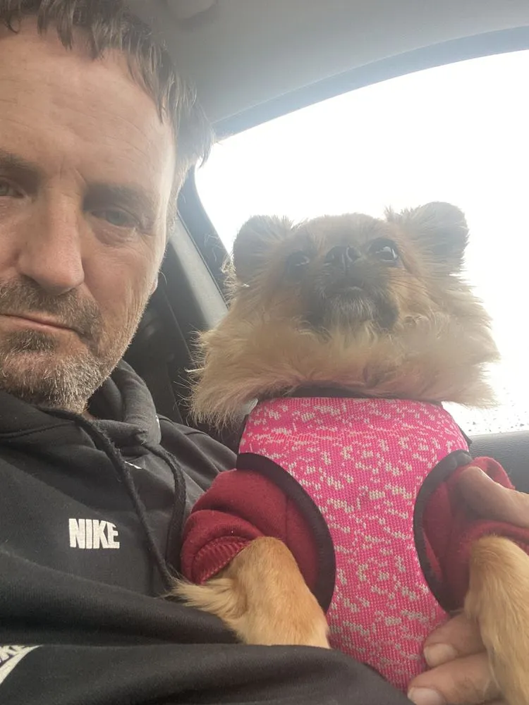 Slide of 3Phase Electric