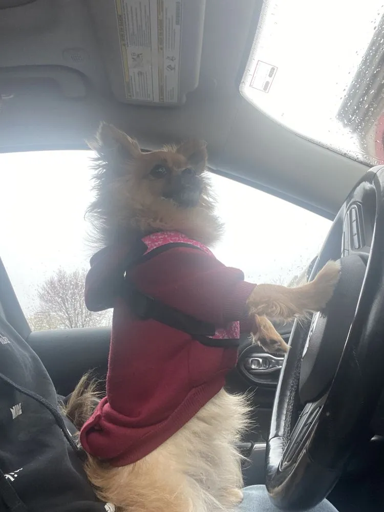 Slide of 3Phase Electric