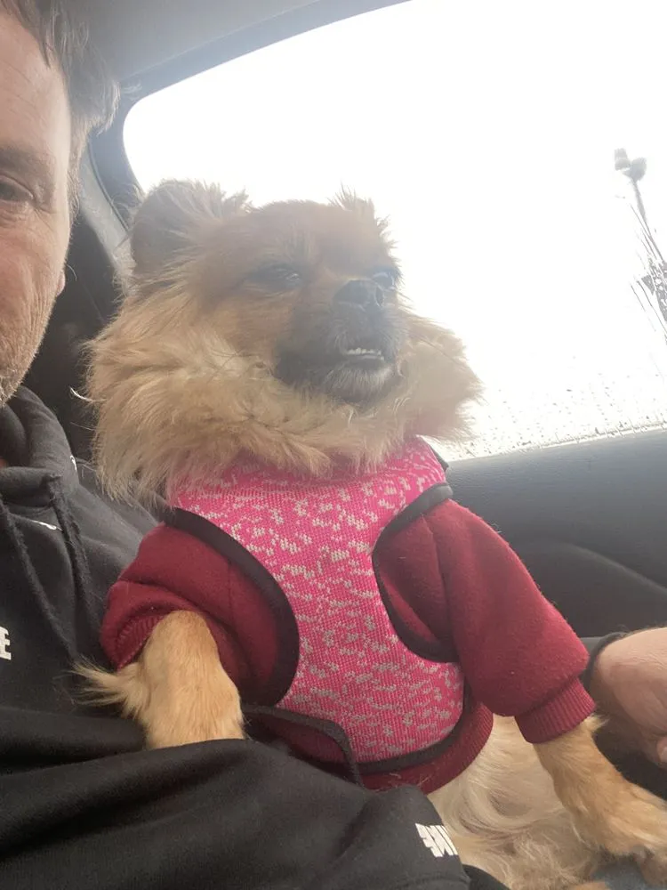 Slide of 3Phase Electric