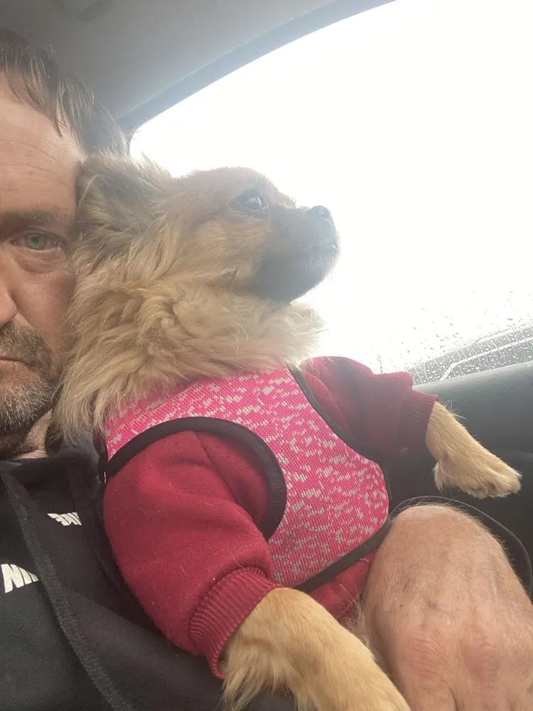 Slide of 3Phase Electric