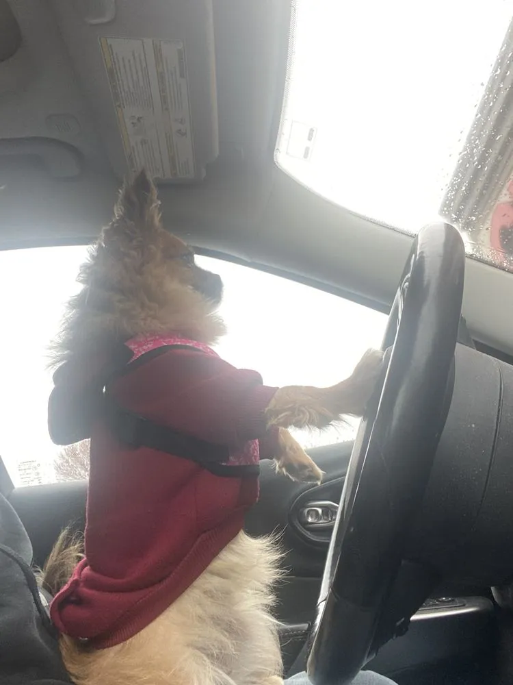 Slide of 3Phase Electric