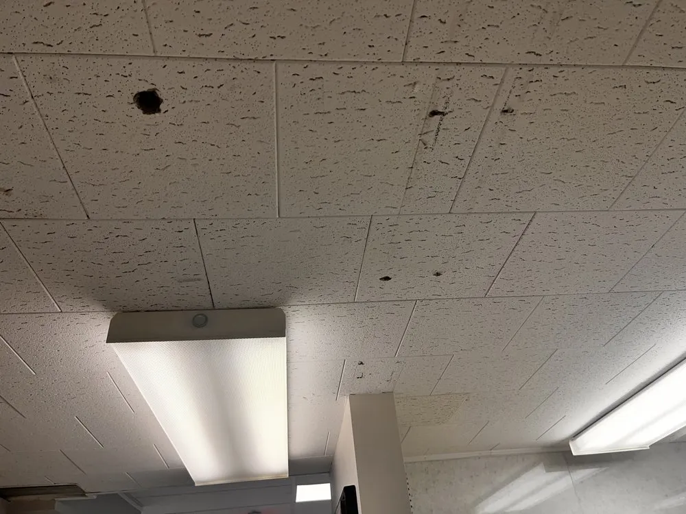 Slide of 4 Ever Lights