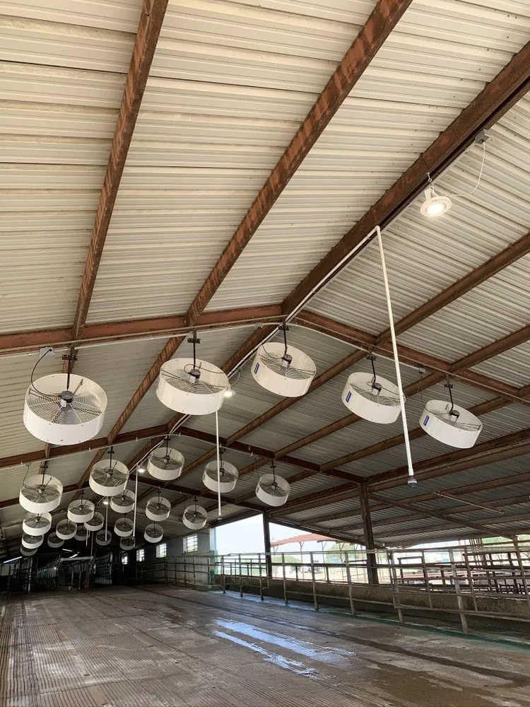 Slide of 4 Square Electric