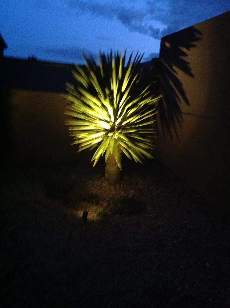 Slide of 4B's Electric