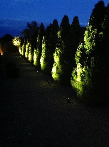 Slide of 4B's Electric