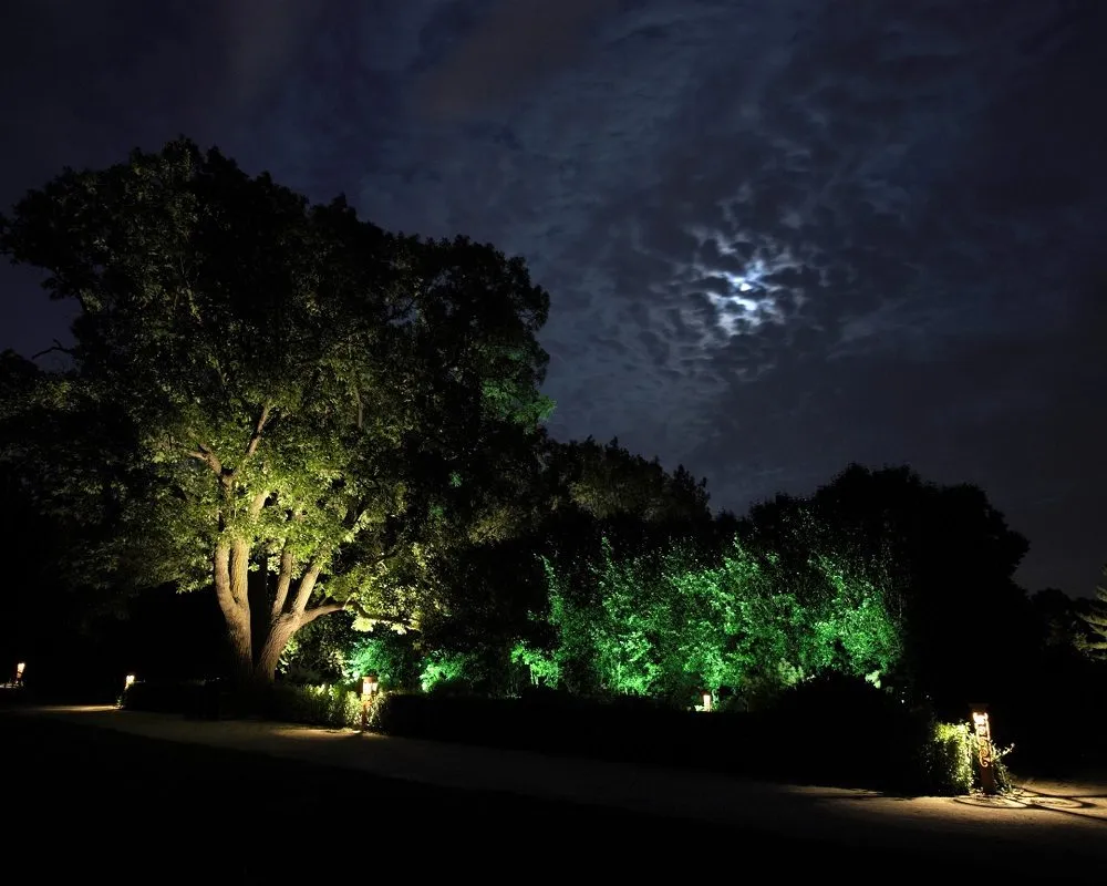 Slide of 5 Star Electricians Silver Lake