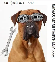 5 Star Handyman Logo