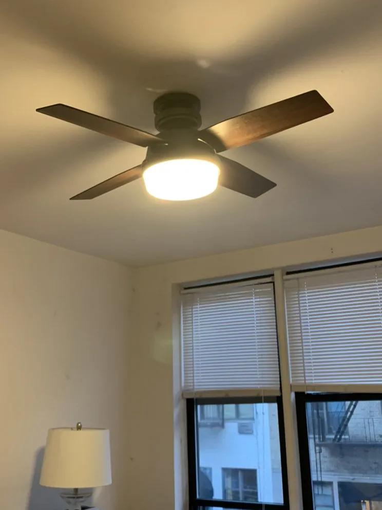 Slide of 85 Electric