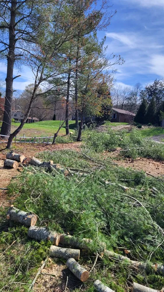 Slide of 865 On Time