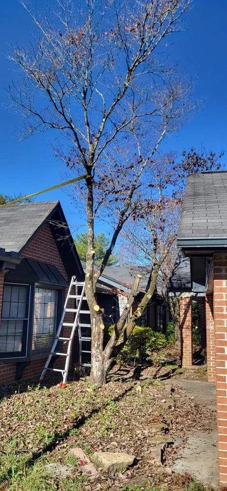 Slide of 865 On Time