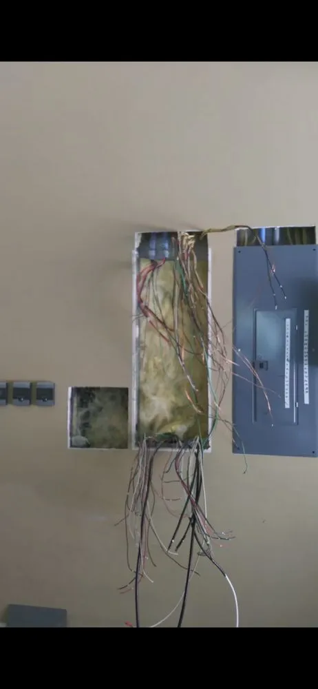 Affordable electrical service for homes in panel upgrade,  by 