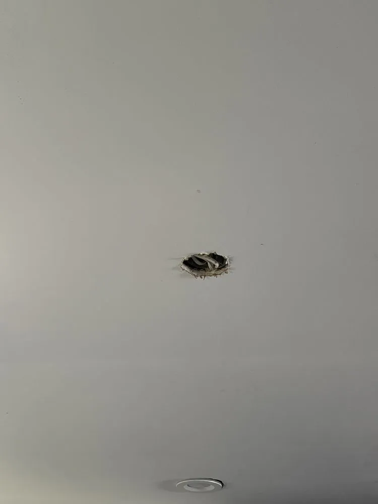 Professional electrical service for homes in outlet and switch repair,  by 