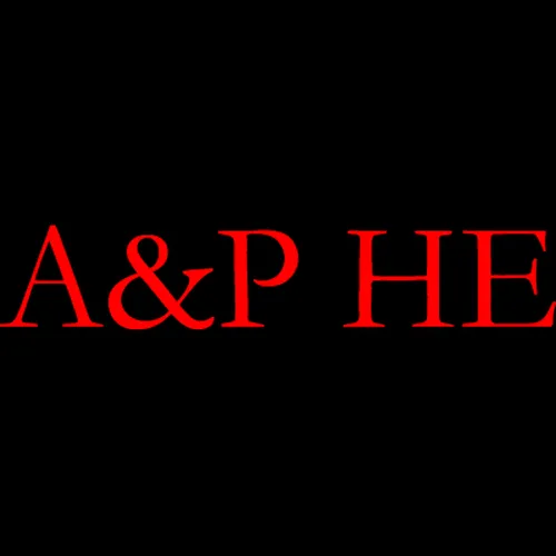 Slide of A & P Homes Electric