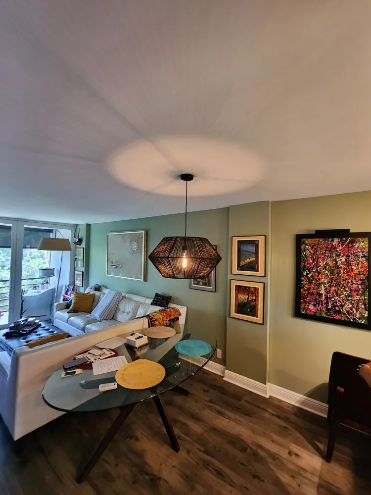 Emergency electrical service for homes in emergency electrical service, by