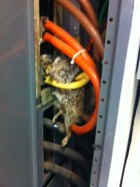 Slide of A C Desert Electric