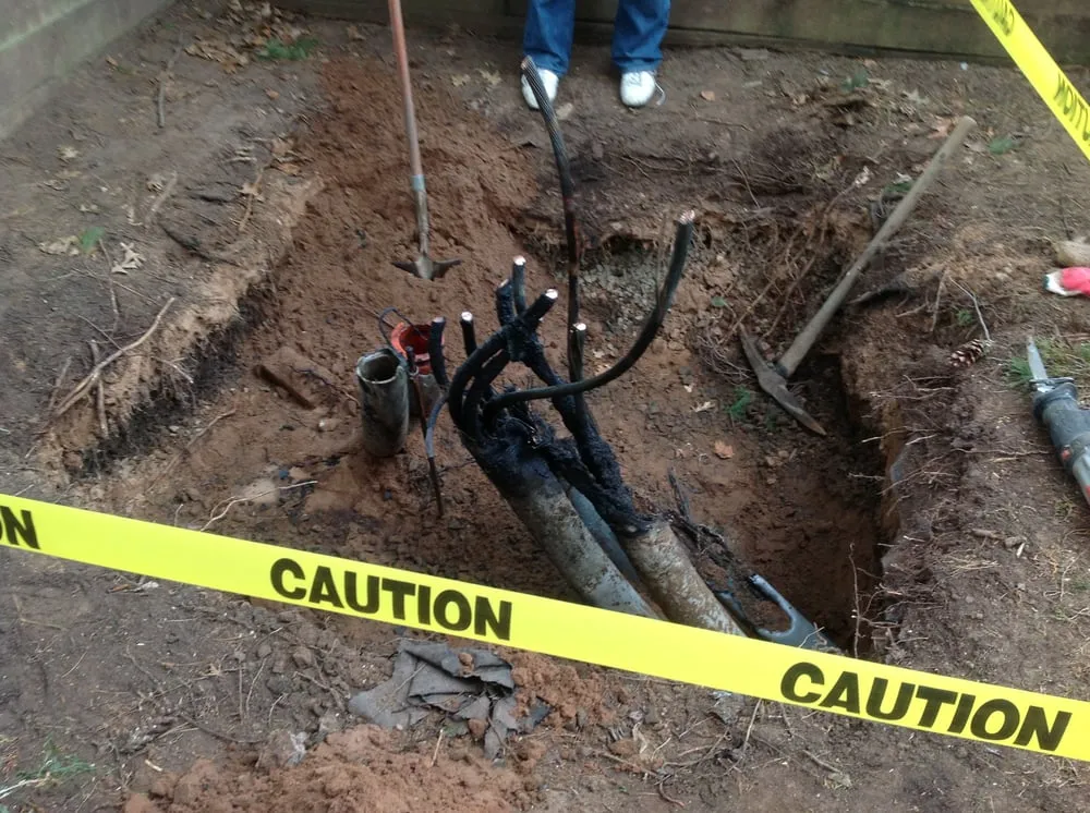 Slide of A C Ranieri Electric