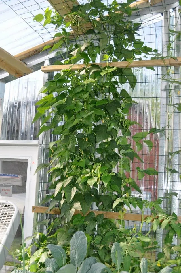 Slide of A+ Circuit Solutions