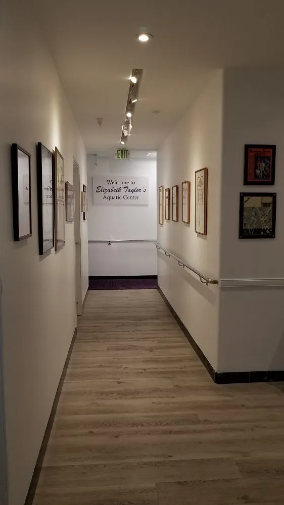 Slide of A First Electric