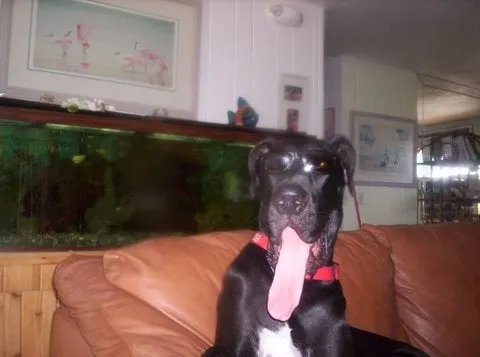 Slide of A M Electric Inc