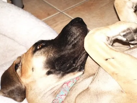 Slide of A M Electric Inc