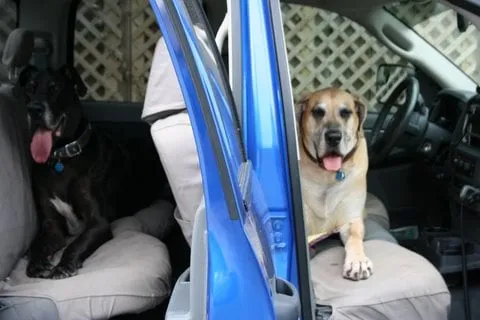 Slide of A M Electric Inc