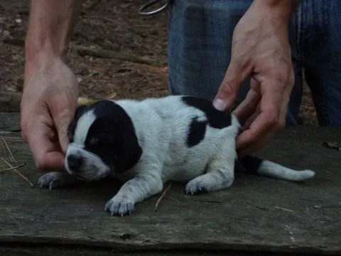 Slide of A M Electric Inc