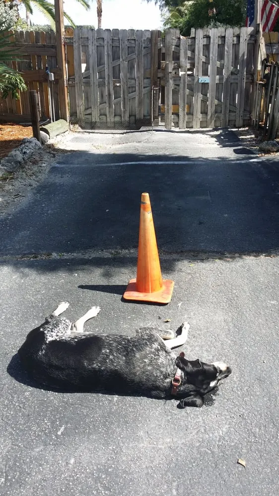 Slide of A M Electric Inc