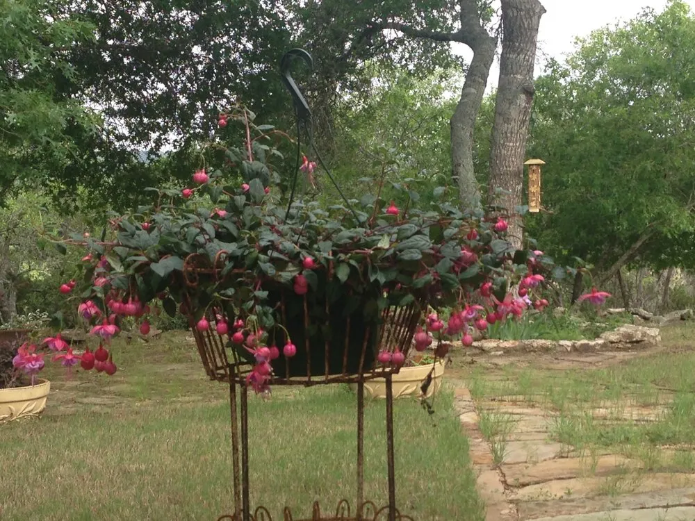 Slide of A-One Electric