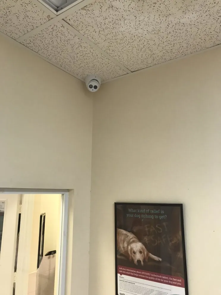 Slide of A P Electronics