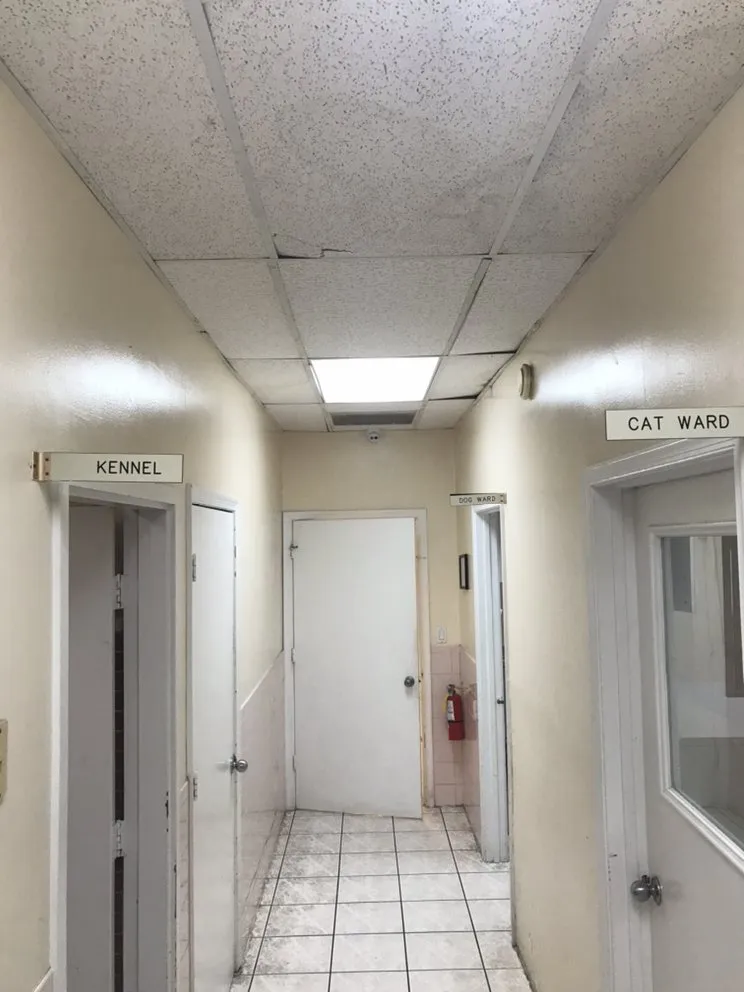 Slide of A P Electronics