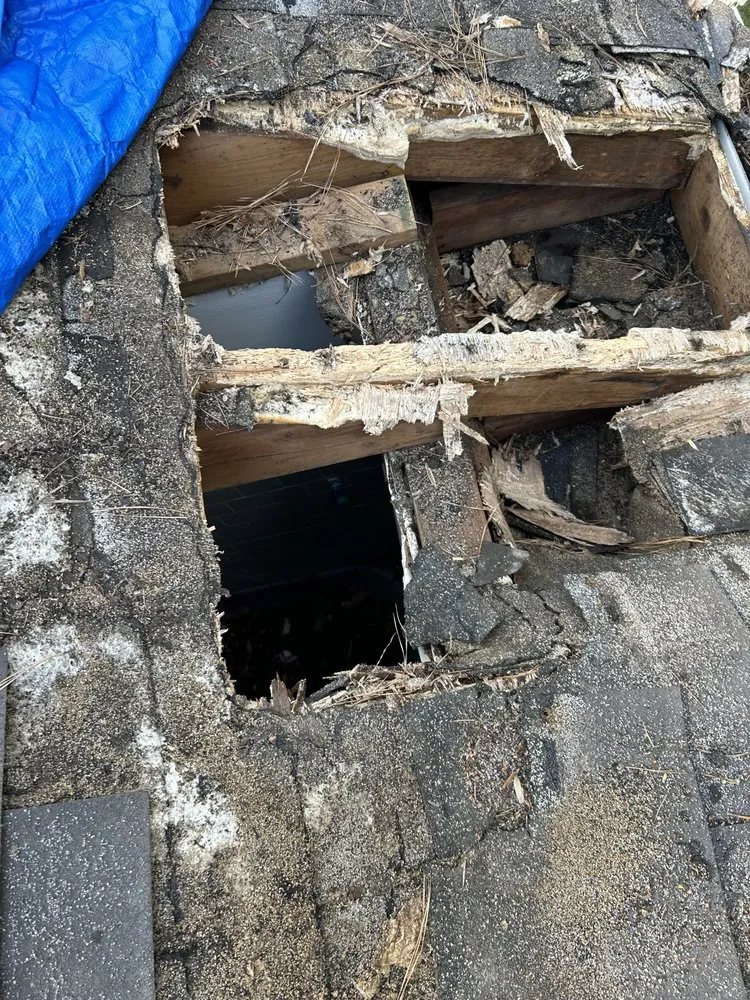 Trusted panel upgrade service in , - A R Allen Services